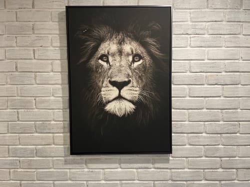 Customer photo review of Lion's Pride