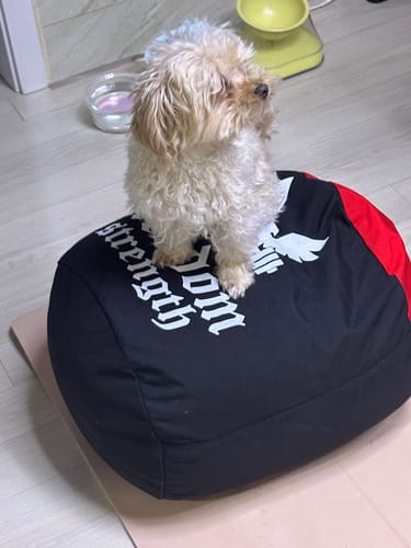 Customer photo review of Strongman Sandbag V3