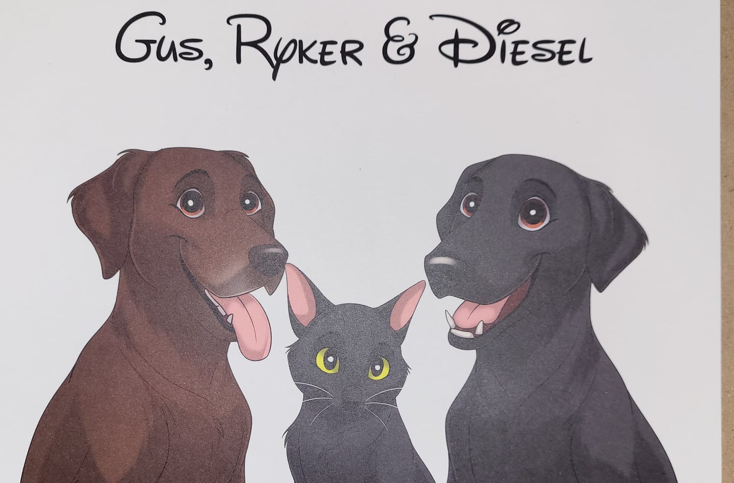 Customer photo review of Disneyfy Pet Cartoon Hand Drawn Portrait