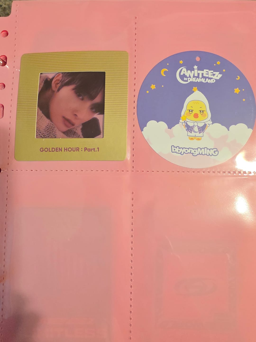 Customer photo review of Custom A5 4-Pocket Pages - Mini Tour - Colored