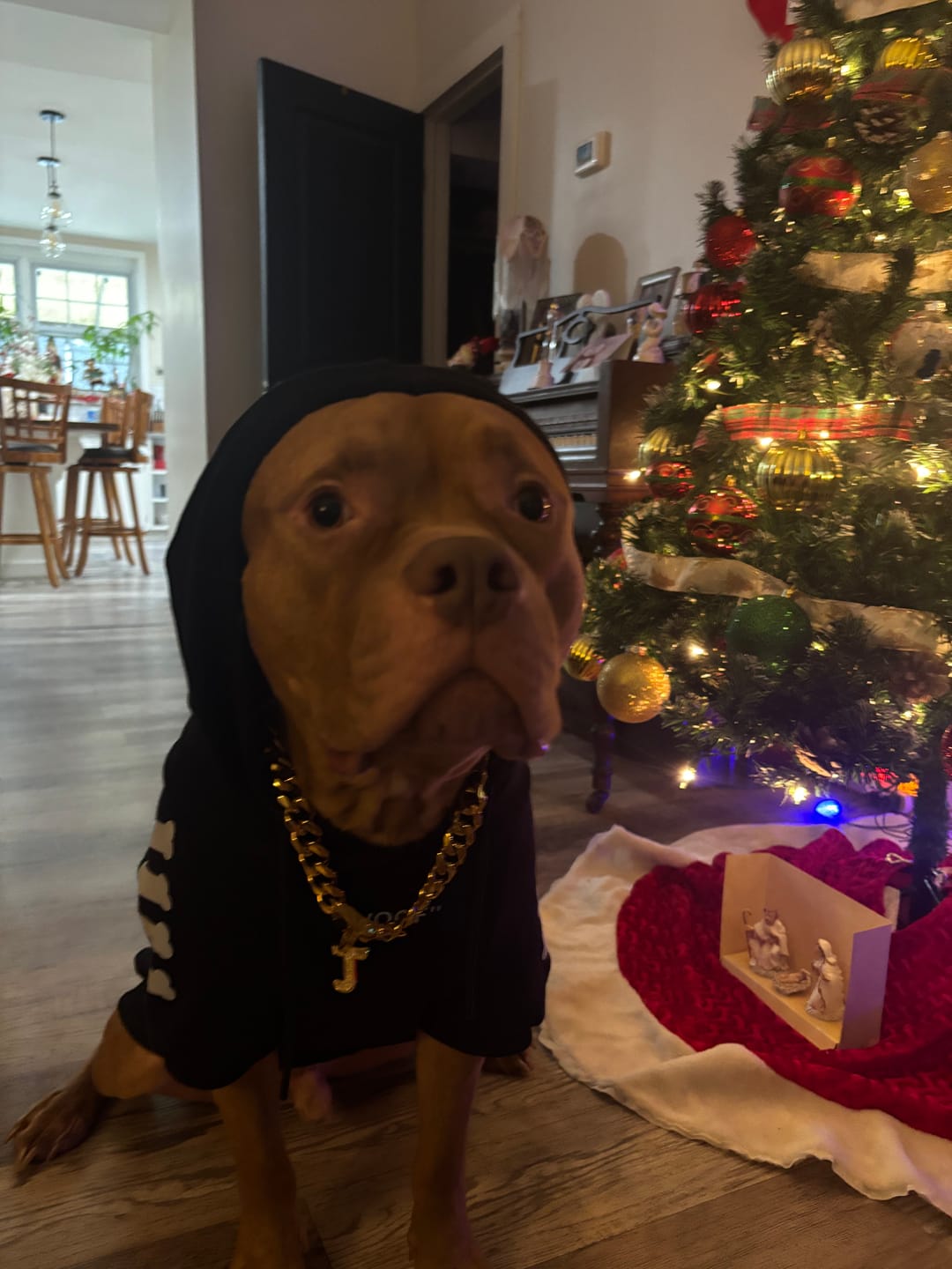 Customer photo review of Initial Letter Jewelry Dog Tag(A-Z)