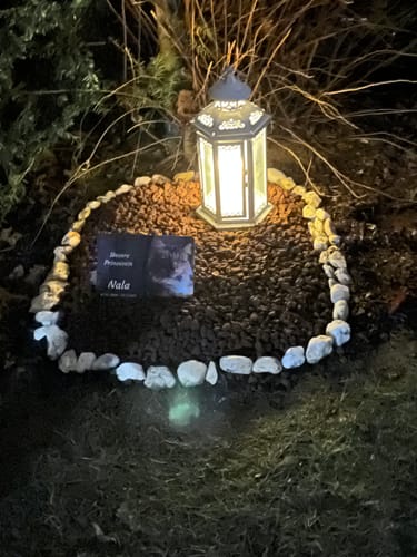 Customer photo review of Katzen Gedenktafel mit Foto & Spruch (UV- & Wetterfest)