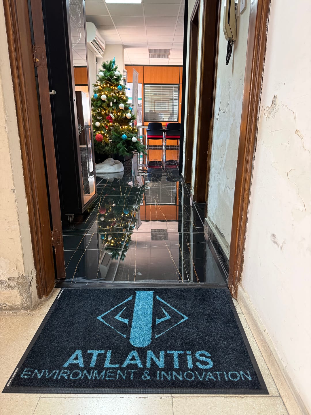 Customer photo review of Custom Indoor Logo Mat