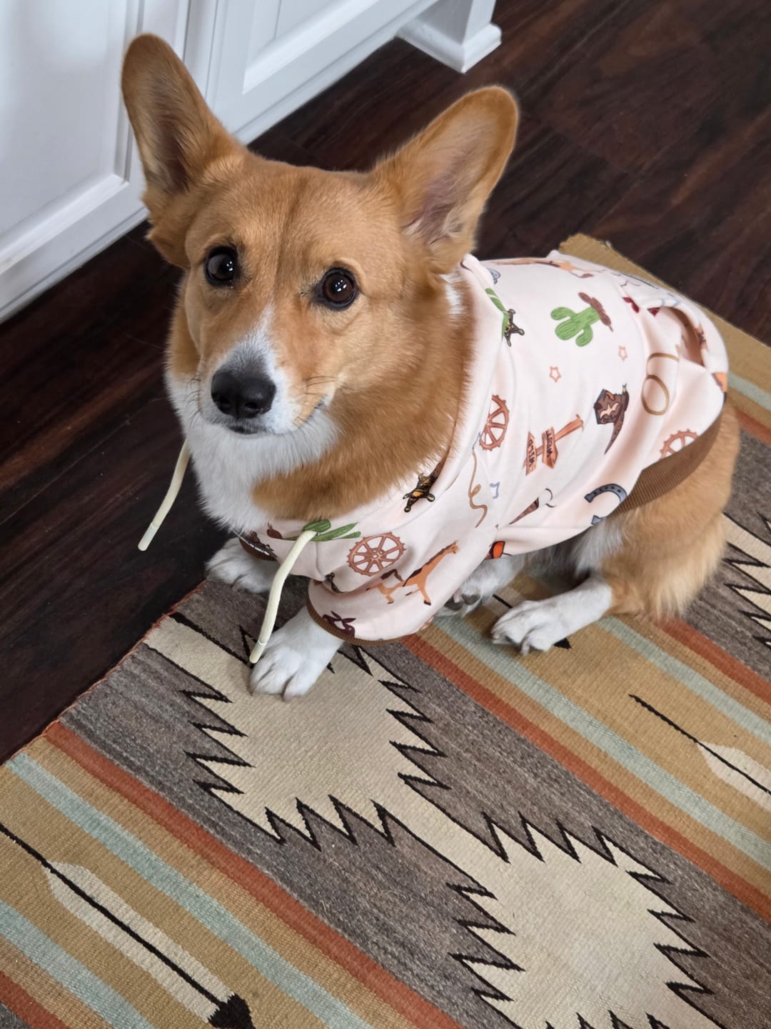 Customer photo review of Rodeo Dog Hoodie