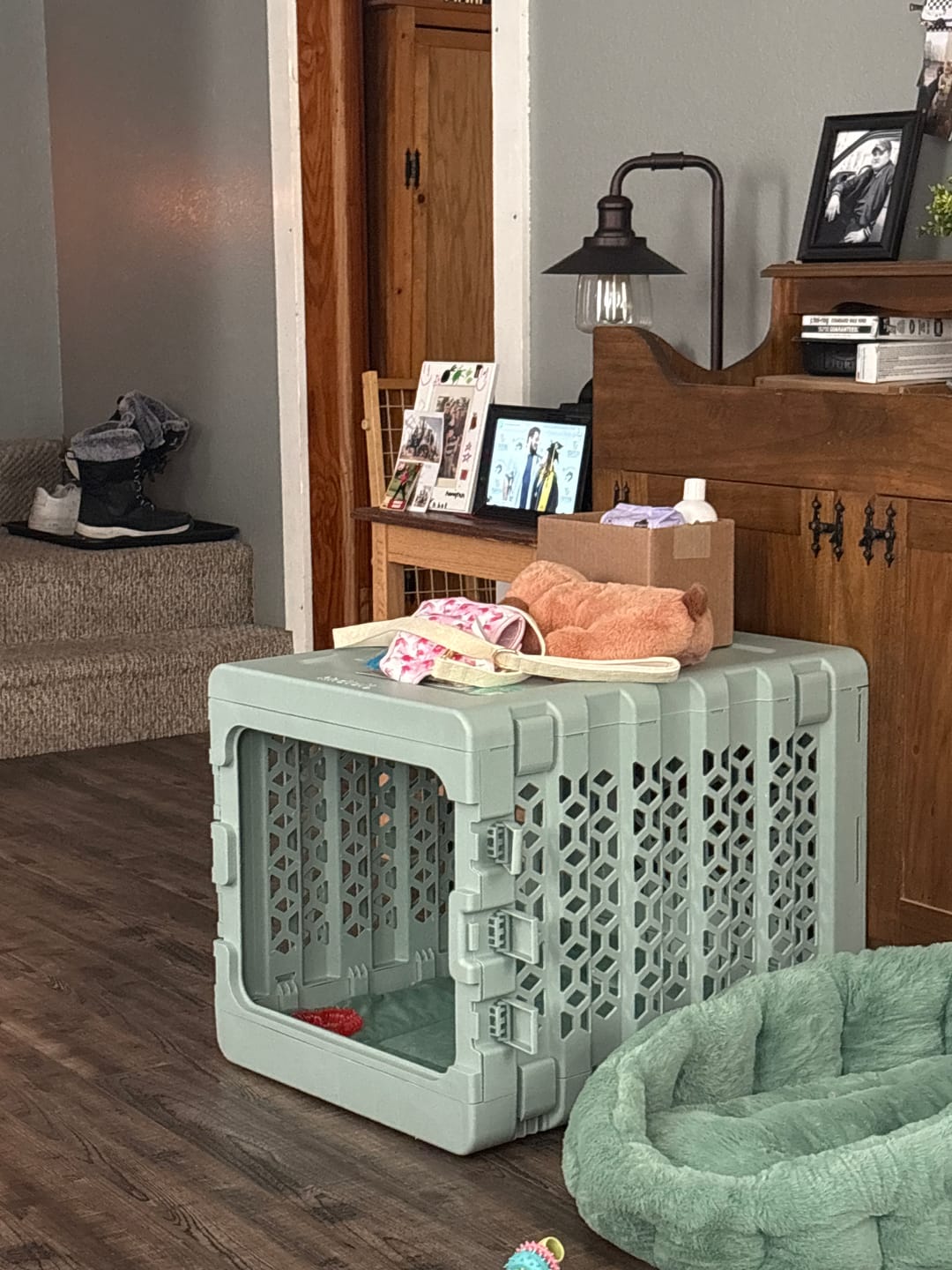 Customer photo review of Puppy Bundle PAWD® Dog Crate