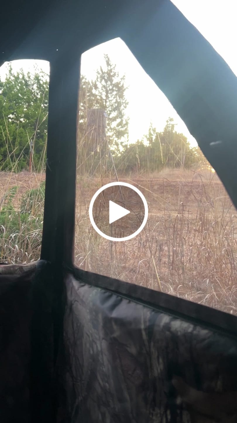 Customer video review of VisX/VisMax 270 Degree See Through Pop Up Hunting Blind