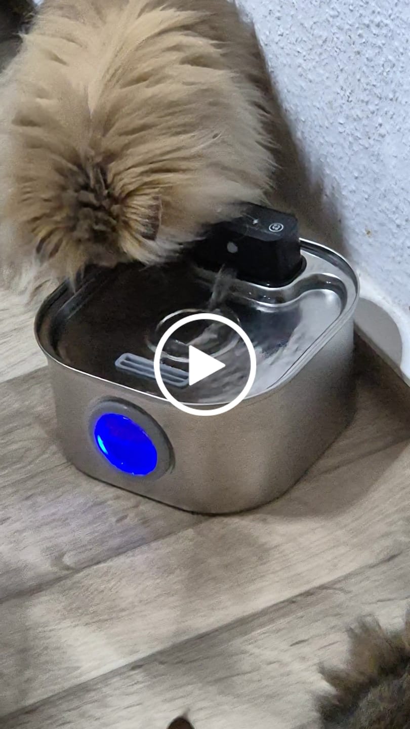 Customer video review of PfotenBrunnen™ - Der automatische Katzenwasserspender