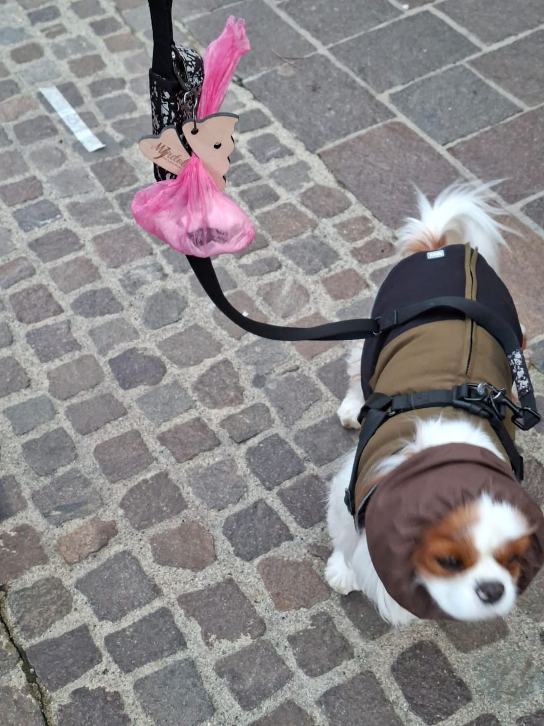 Customer photo review of Merdolo,  trasporta per te i sacchetti di cacca