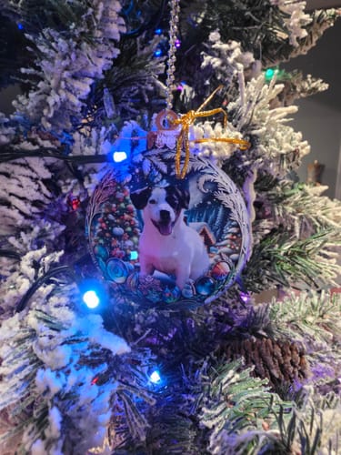 Customer photo review of Personalized Cat & Dog Christmas Ornaments With Photo Pets Make Our Lives Whole Home Holiday Decorations For Pet Lovers