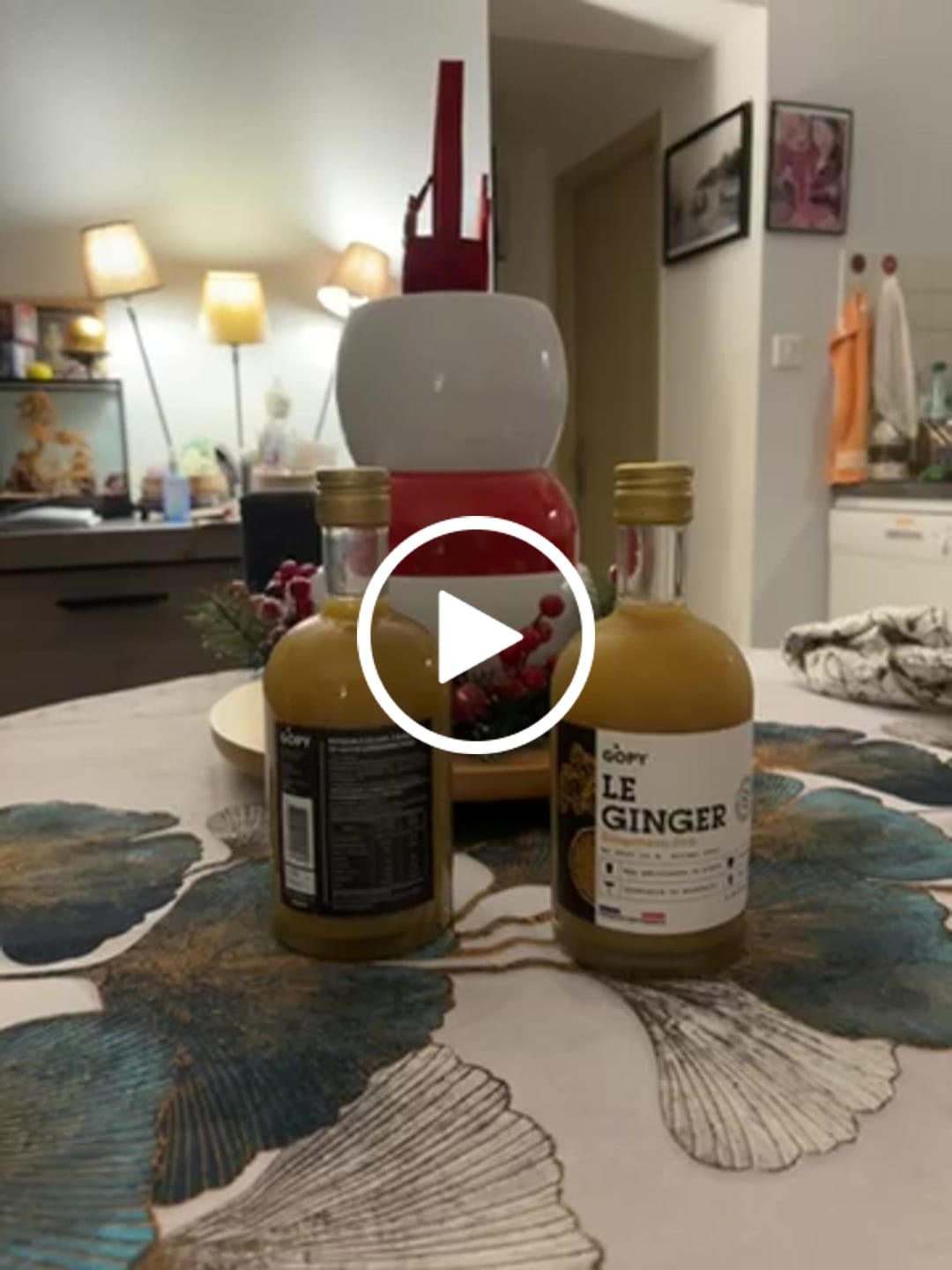 Customer video review of Le Ginger Gopy Classique BIO