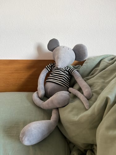 Customer photo review of HECTOR LE RAT - L