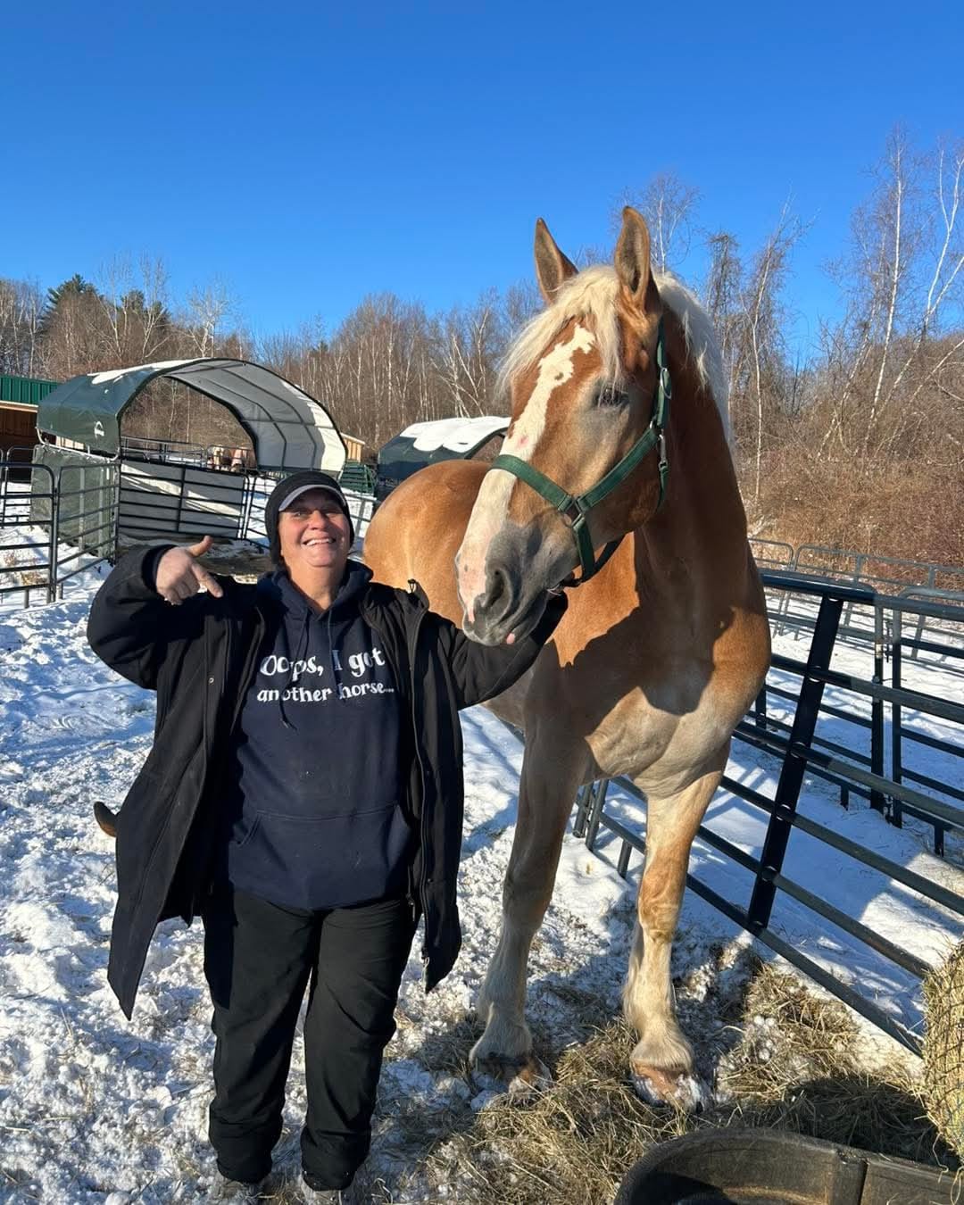 Customer photo review of Oops Another Horse Hoodie