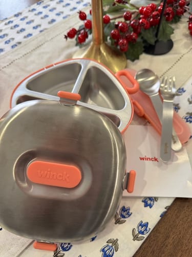 Customer photo review of Bento Box | Peach
