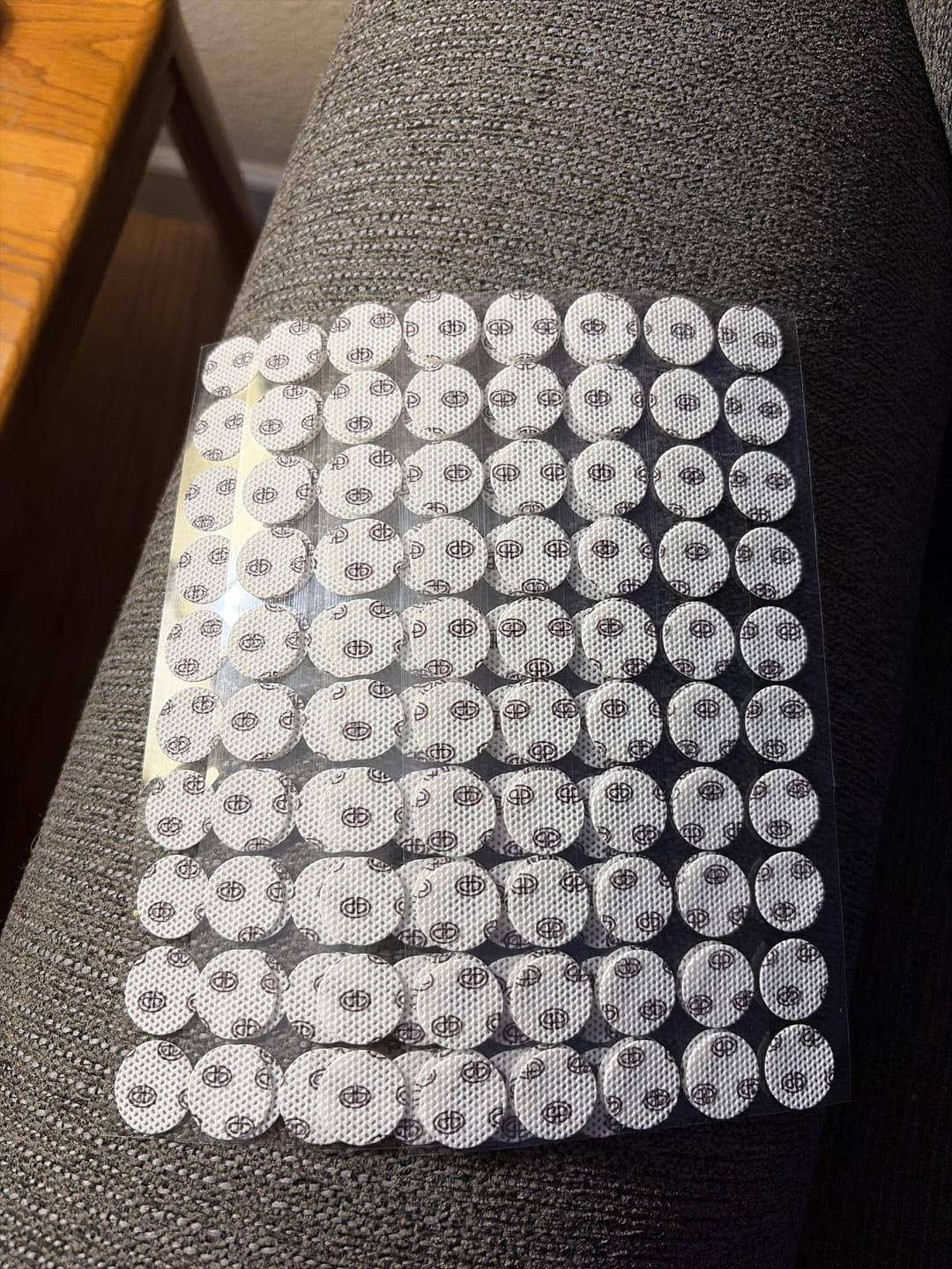 Customer photo review of Adherable Lid Filters For Plant & Mushroom Tissue Culture