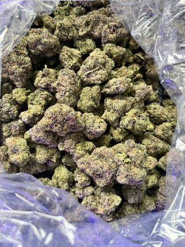 Customer photo review of Oakland Runtz Littles - Bulk Littles - Hybrid