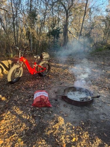 Customer photo review of Wired Scout