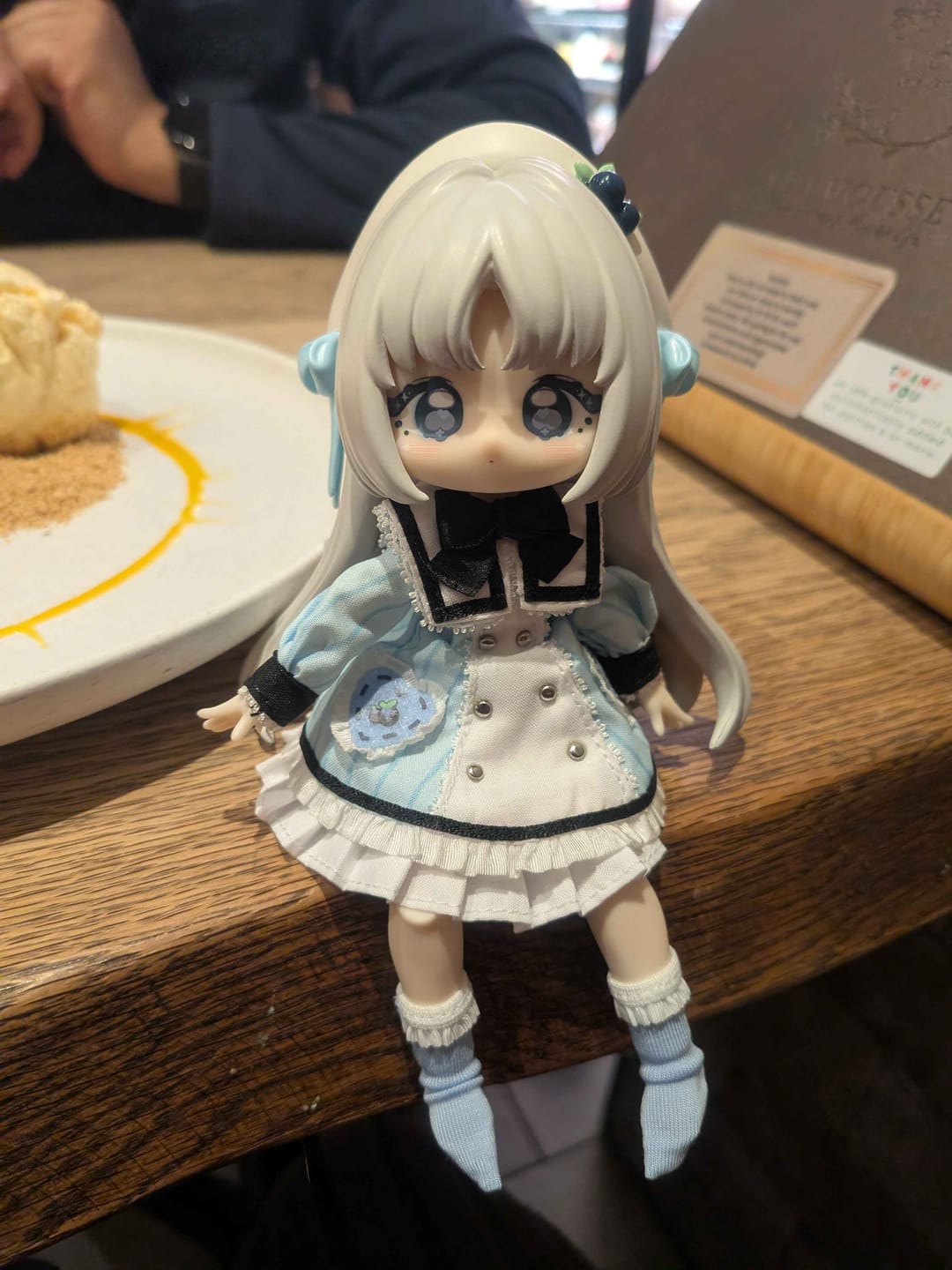 Customer photo review of Sugar 100% Series 1/12 Action Figure BJD Blind Box