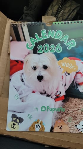 Customer photo review of Official Pupvote Cutest Pets of the Year Calendar (2026)
