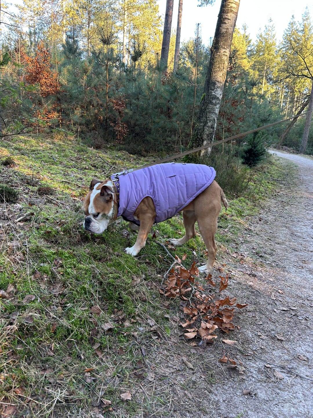 Customer photo review of WarmShield Water-Resistant Jacket - Lilac