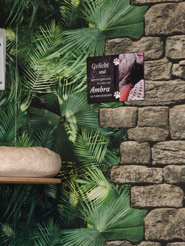 Customer photo review of Katzen Gedenktafel mit Foto & Spruch (UV- & Wetterfest)