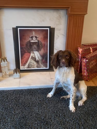 Customer photo review of The King - Custom Vintage Pet Portrait