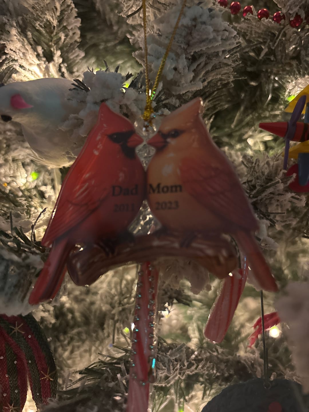 Customer photo review of Vintage Nostalgic Cardinals Memorial Dad Mom Christmas Personalized Acrylic Ornament