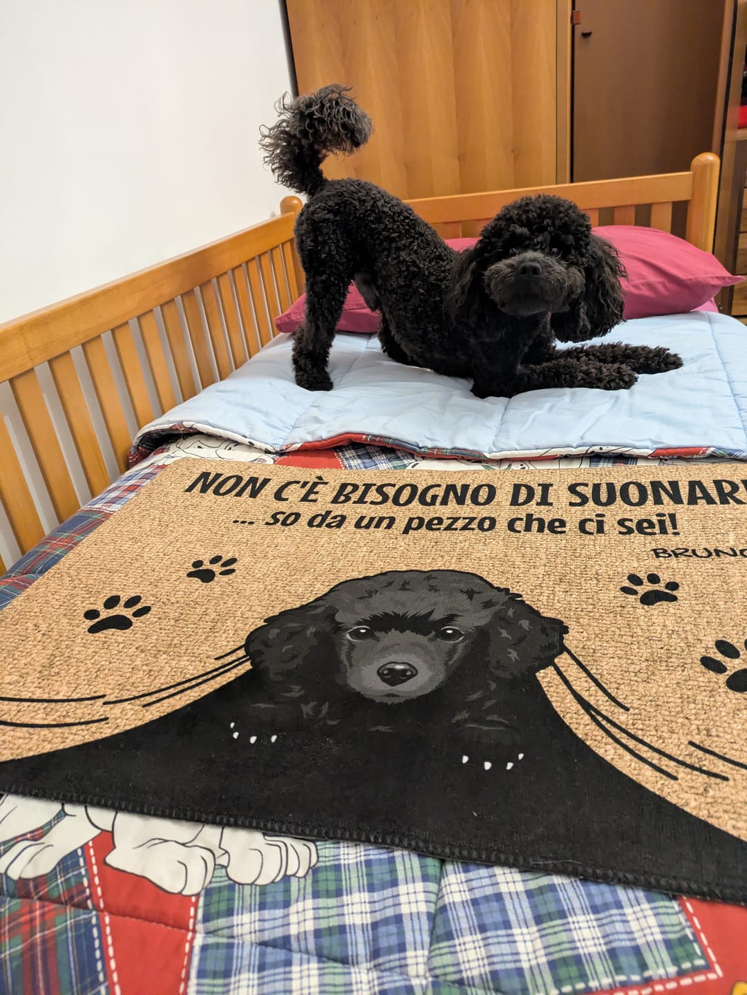 Customer photo review of Non c'è bisogno di suonare - Zerbino personalizzato