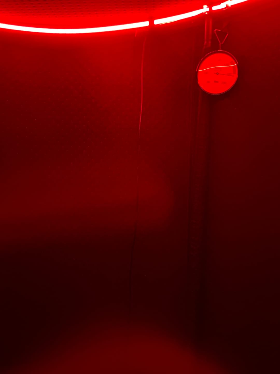 Customer photo review of The Sauna Pod