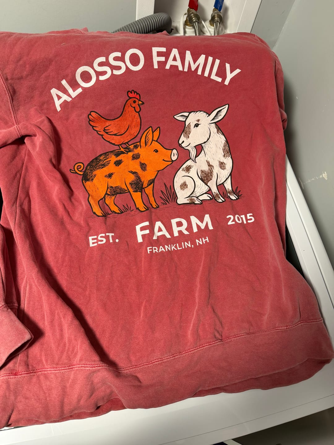 Customer photo review of LIVESTOCK FARM CUSTOM PREMIUM SWEATSHIRT V6