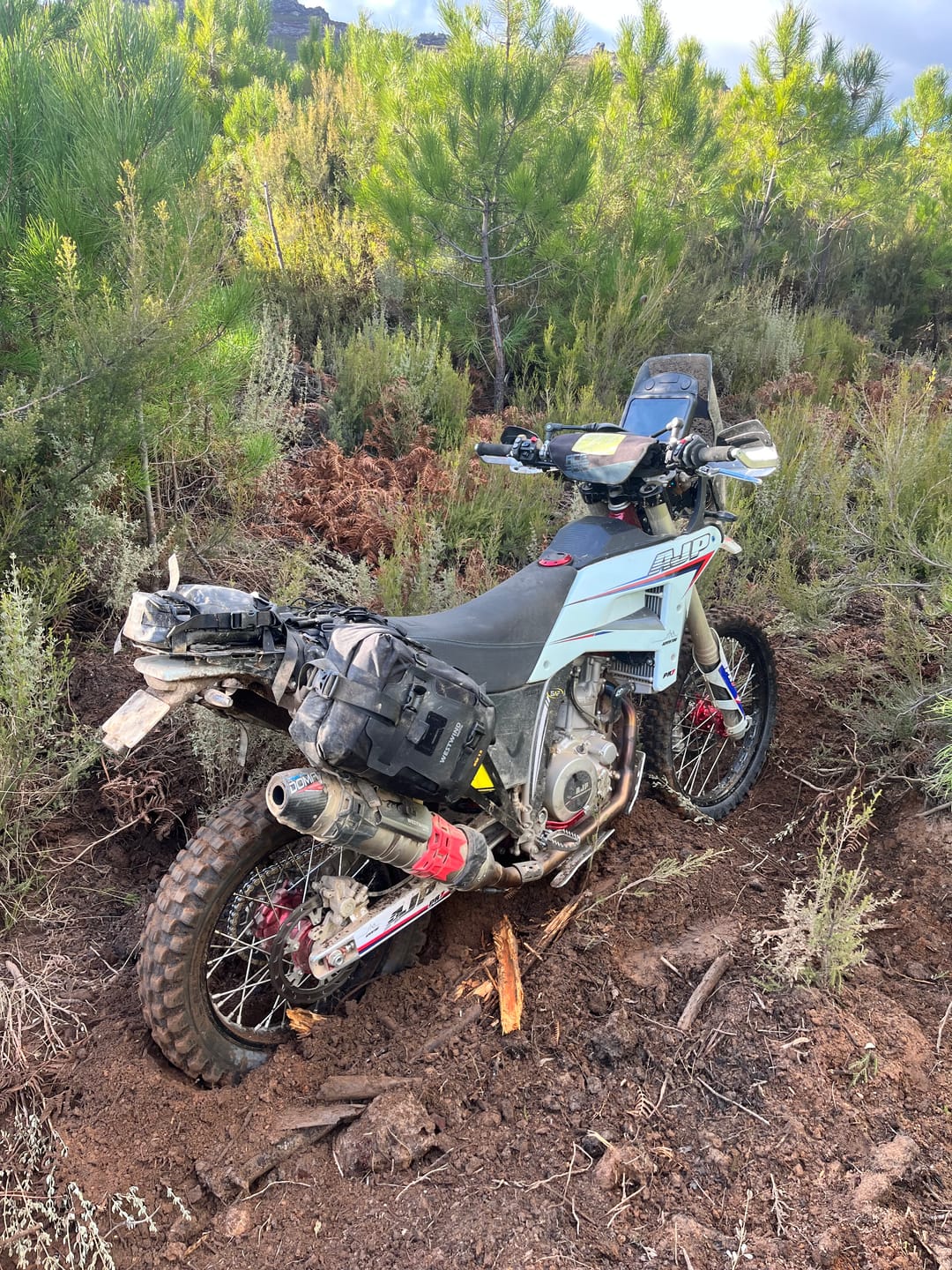 Customer photo review of Ranger Wilds - Enduro 24 set (with base)