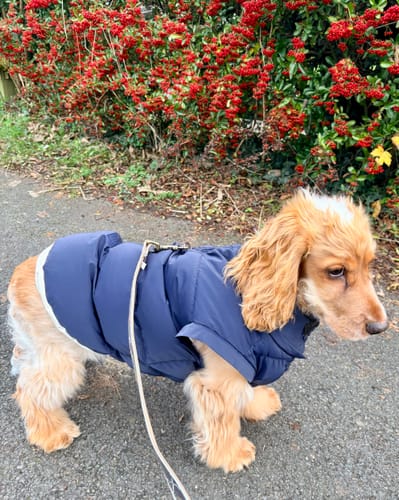 Customer photo review of Midnight | The Modular Puffer