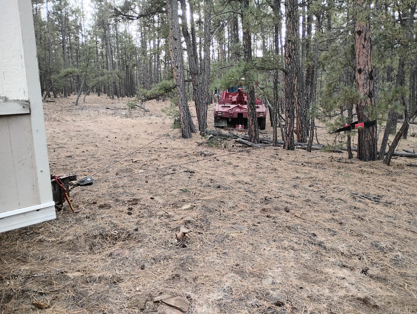 Customer photo review of OPENROAD 4''x8' Break Strength 30,000 lbs Tree Saver Strap
