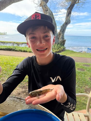 Customer photo review of Mirage Hat