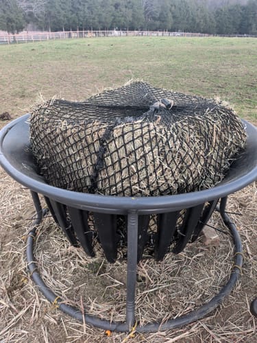 Customer photo review of Hay Chix® Large Bale Net- 4'