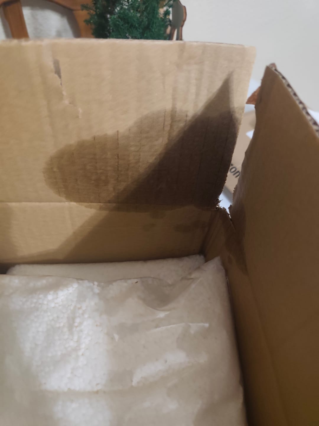 Customer photo review of Fragancia EUCALIPTO