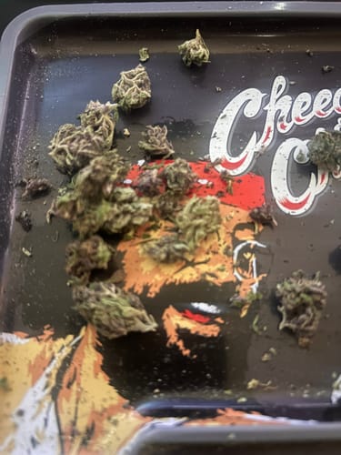 Customer photo review of Master Kush - 28 Grams - Indica