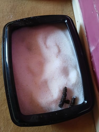 Customer photo review of 3 Month Supply - 1 Cat