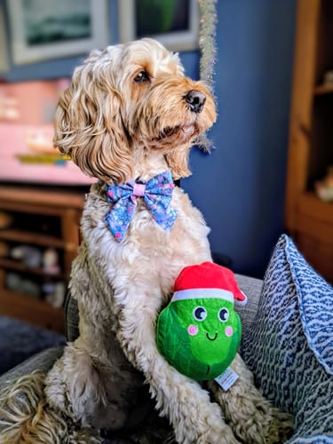 Customer photo review of Lead - Whimsical Wildflowers