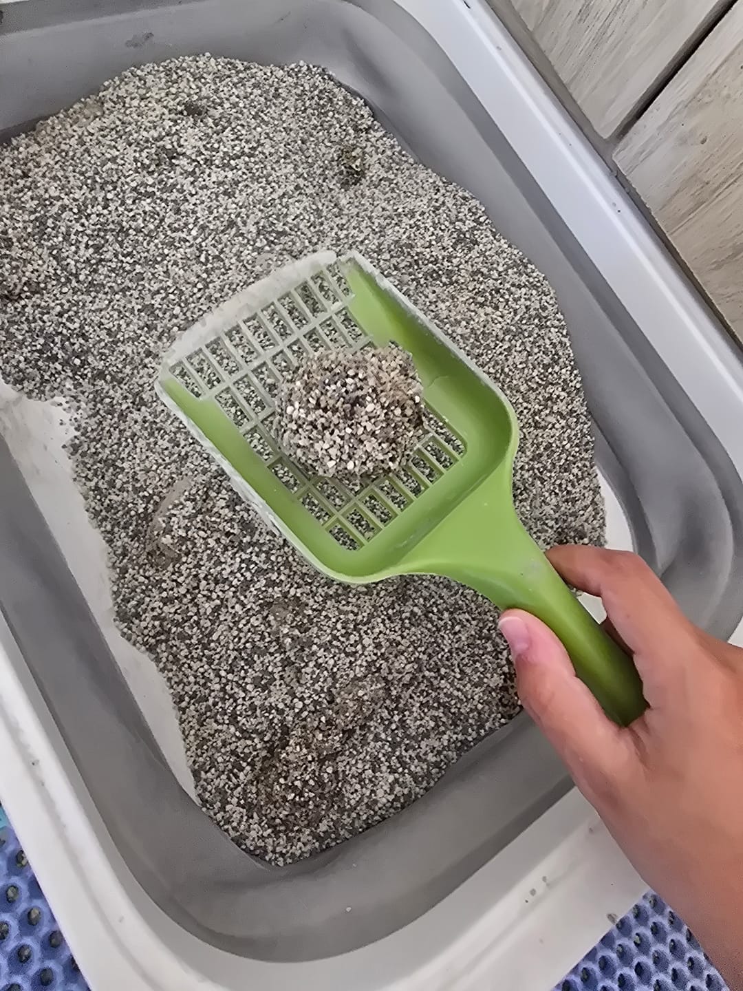 Customer photo review of Arena Minino 48kg - Carbón Activo