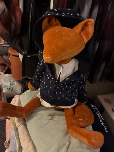 Customer photo review of ARTHUS, LE RENARD - L