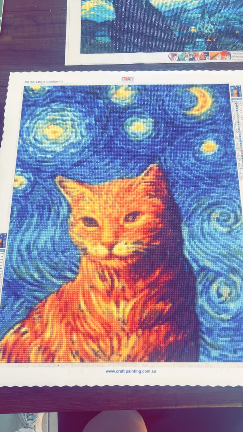 Customer photo review of Full Drill - 5D DIY Diamond Painting Kits Cat Beneath Van Gogh's Starry Sky