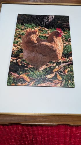 Customer photo review of Custom Wood Jigsaw Puzzle (Plain)