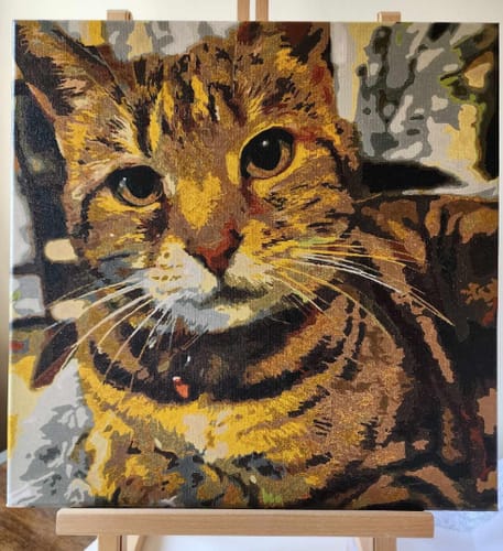 Customer photo review of Custom Pet Paint By Numbers
