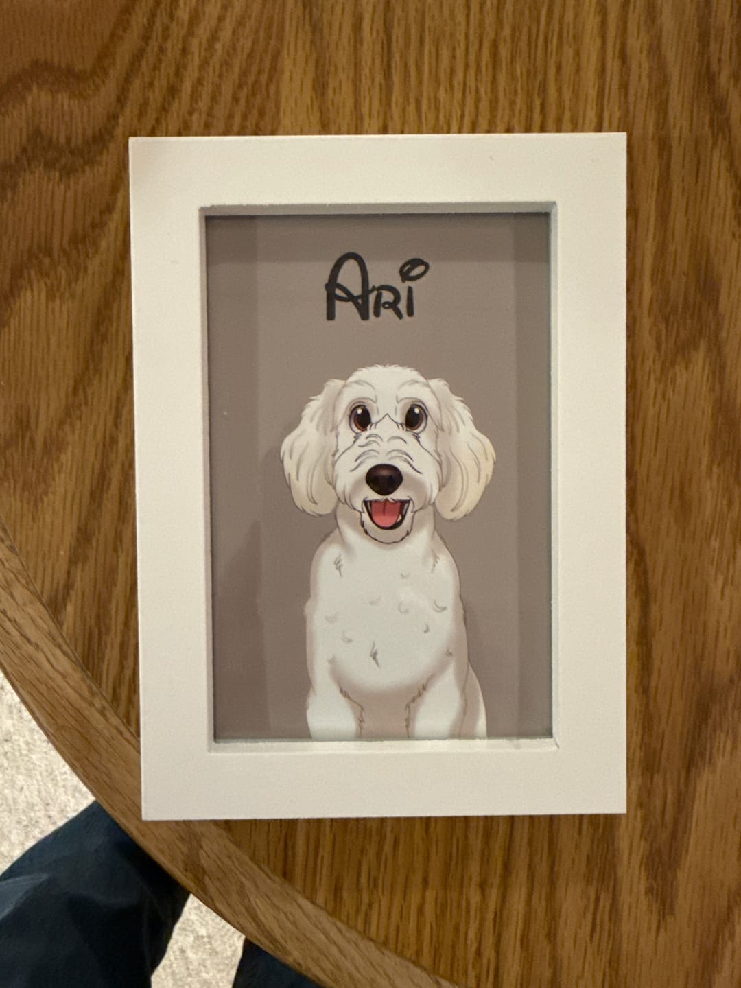 Customer photo review of Disneyfy Pet Cartoon Hand Drawn Portrait