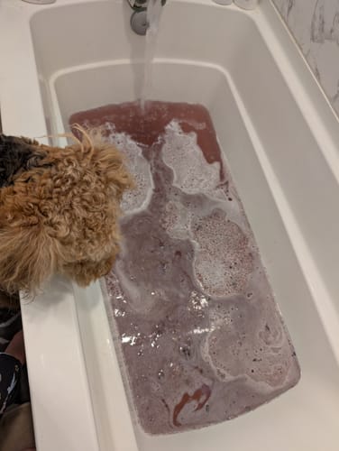 Customer photo review of PERSEPHONE "Queen of the Underworld" Coconut Milk Bath