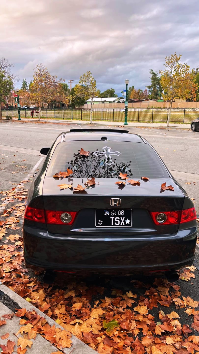 Customer photo review of Custom Japanese License Plate - Vanity & Magnetic Cover