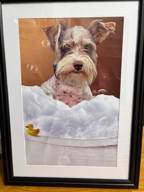Customer photo review of Fun in the tub - Personalized Poster