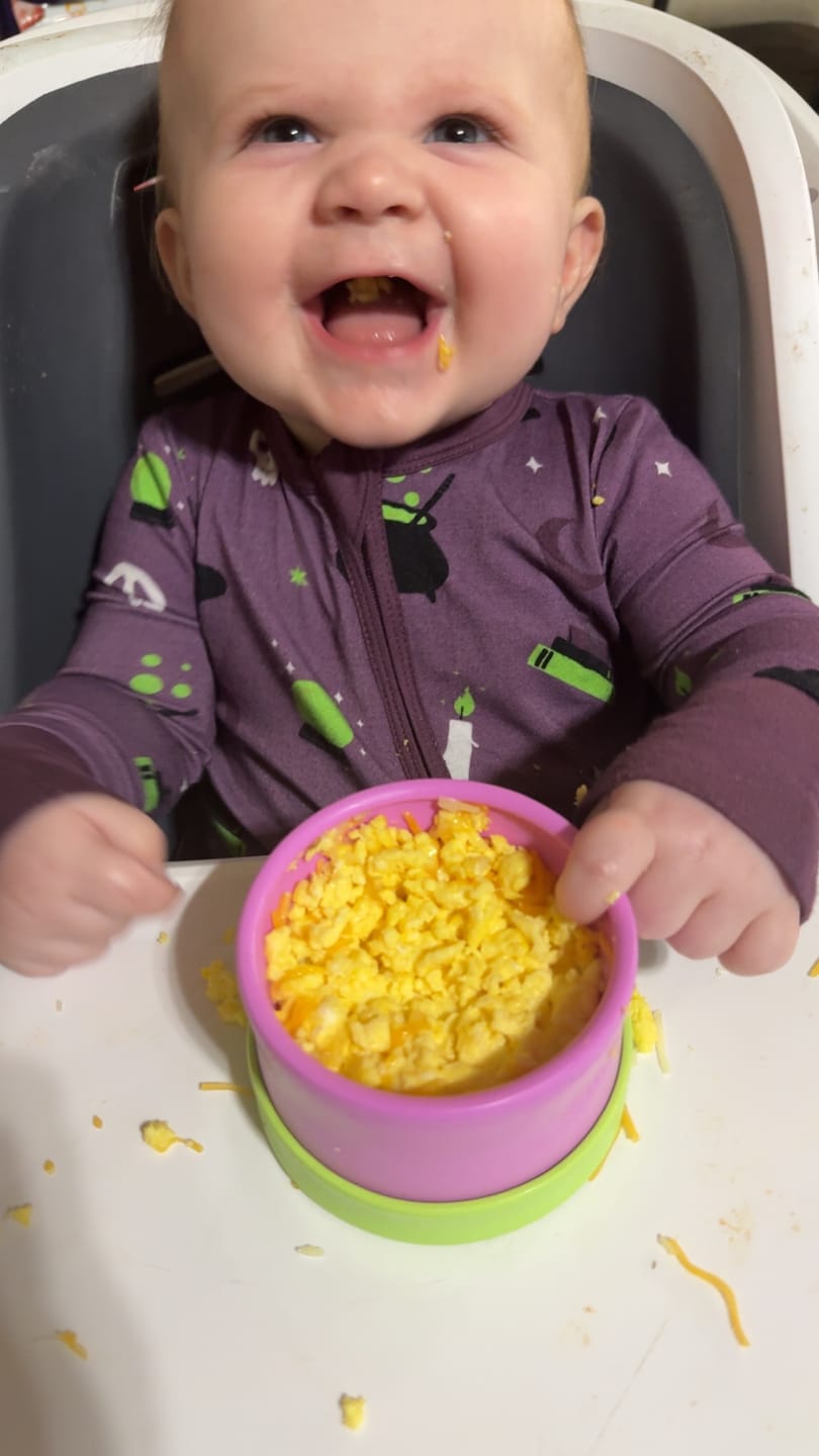 Customer photo review of Everything Bowl Bundle
