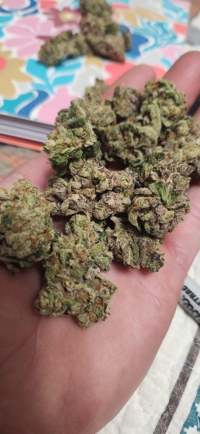 Customer photo review of Runtz THCA Flower