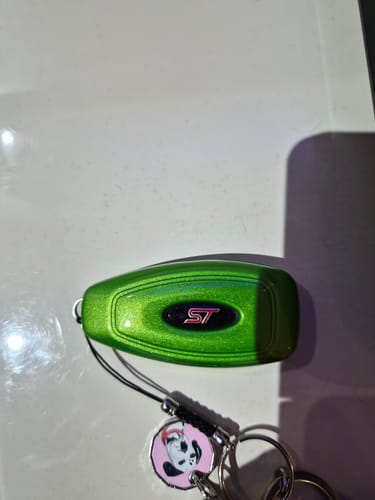 Customer photo review of Ford 'Keyless Start' Key Cover